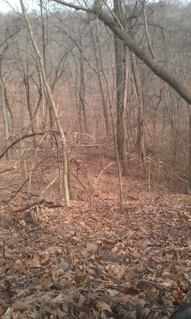 Creating deer bedding areas